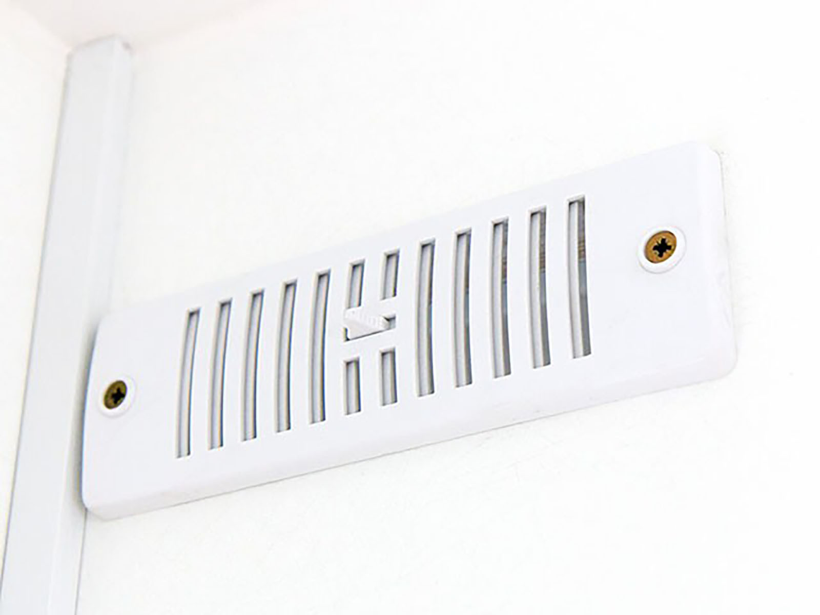 Blyss Kofferanhänger Verkaufsanhänger 200x300cm Höhe:230cm 1,3t-Neu – Bild 2