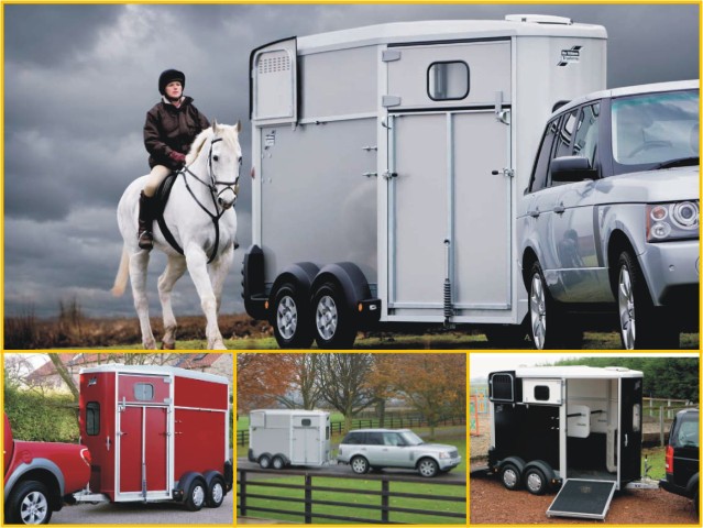 Ifor Williams Pferdeanhänger HB506|Frontausstieg|Klappenkombi|schwarz-Neu – Bild 2