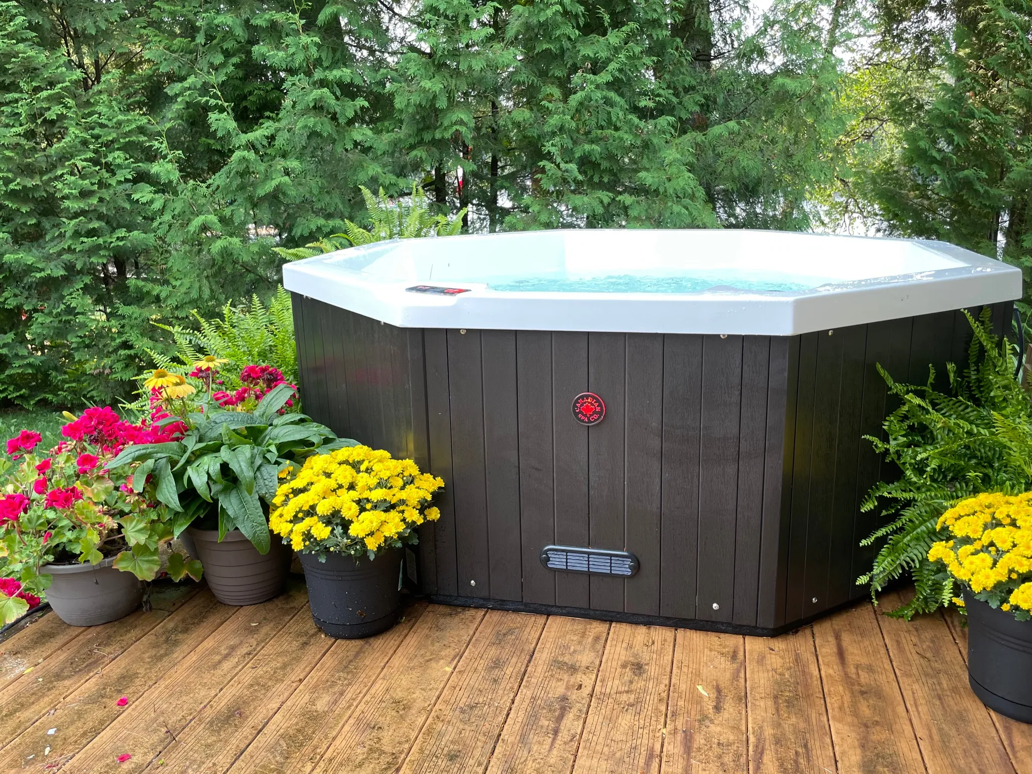 Muskoka UV – Bild 4