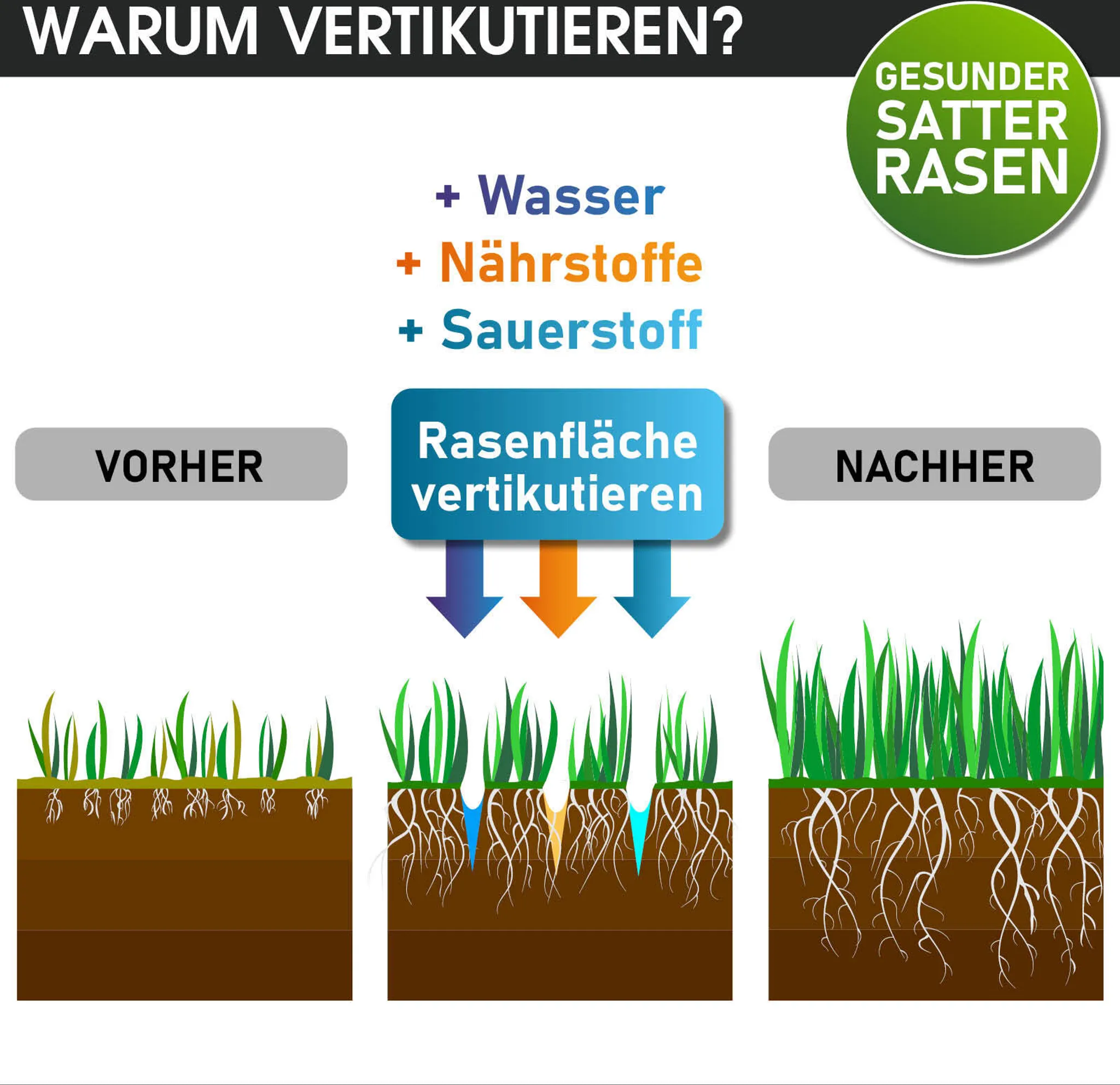BRAST Benzin Vertikutierer 40212s – Bild 7
