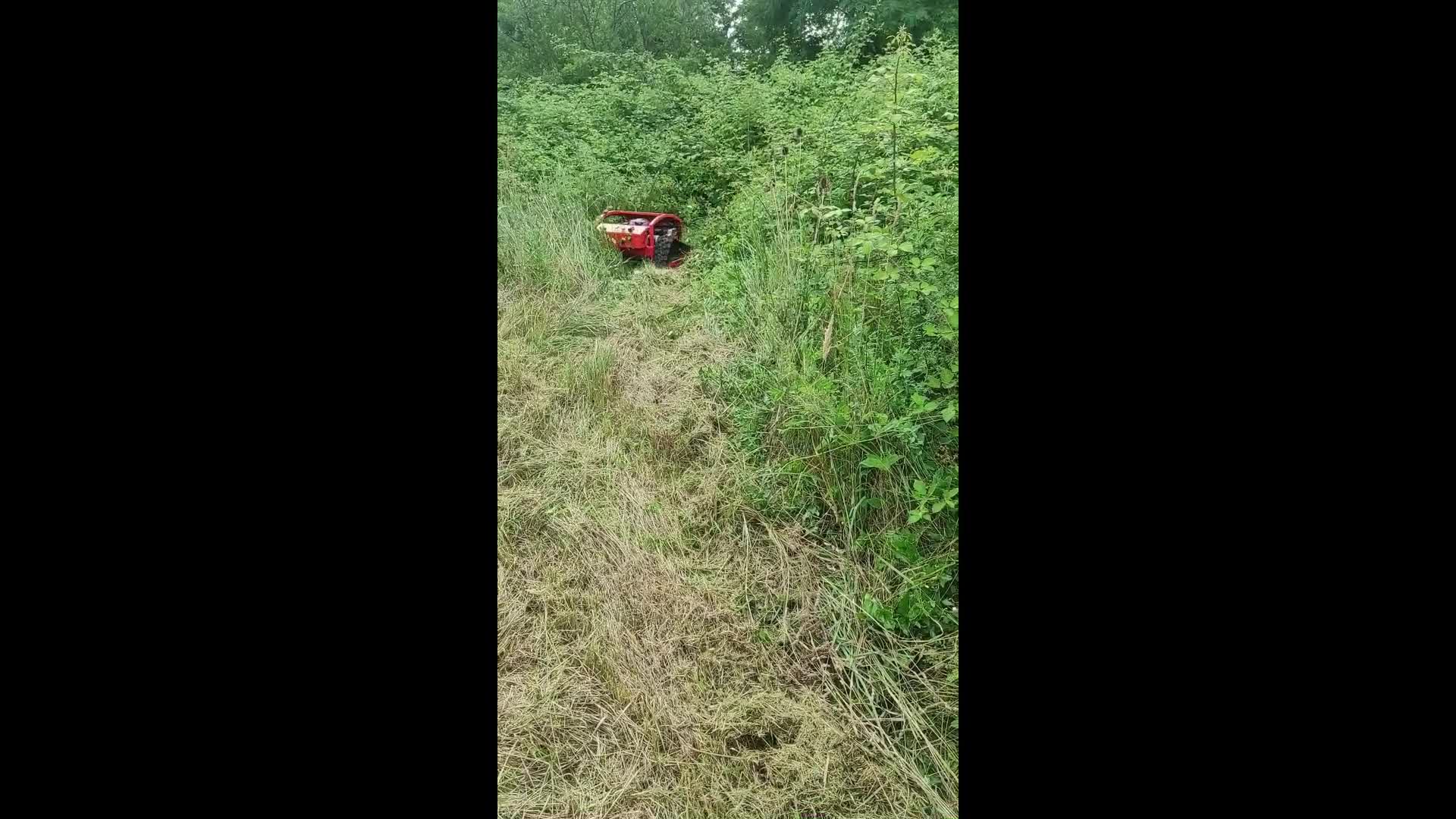 Ferngesteuerter Raupen-Schlegelmäher mit 7,9 PS starkem 225-cm³-Motor von Loncin FRASCIO NEW TECNOLOGY – Bild 7