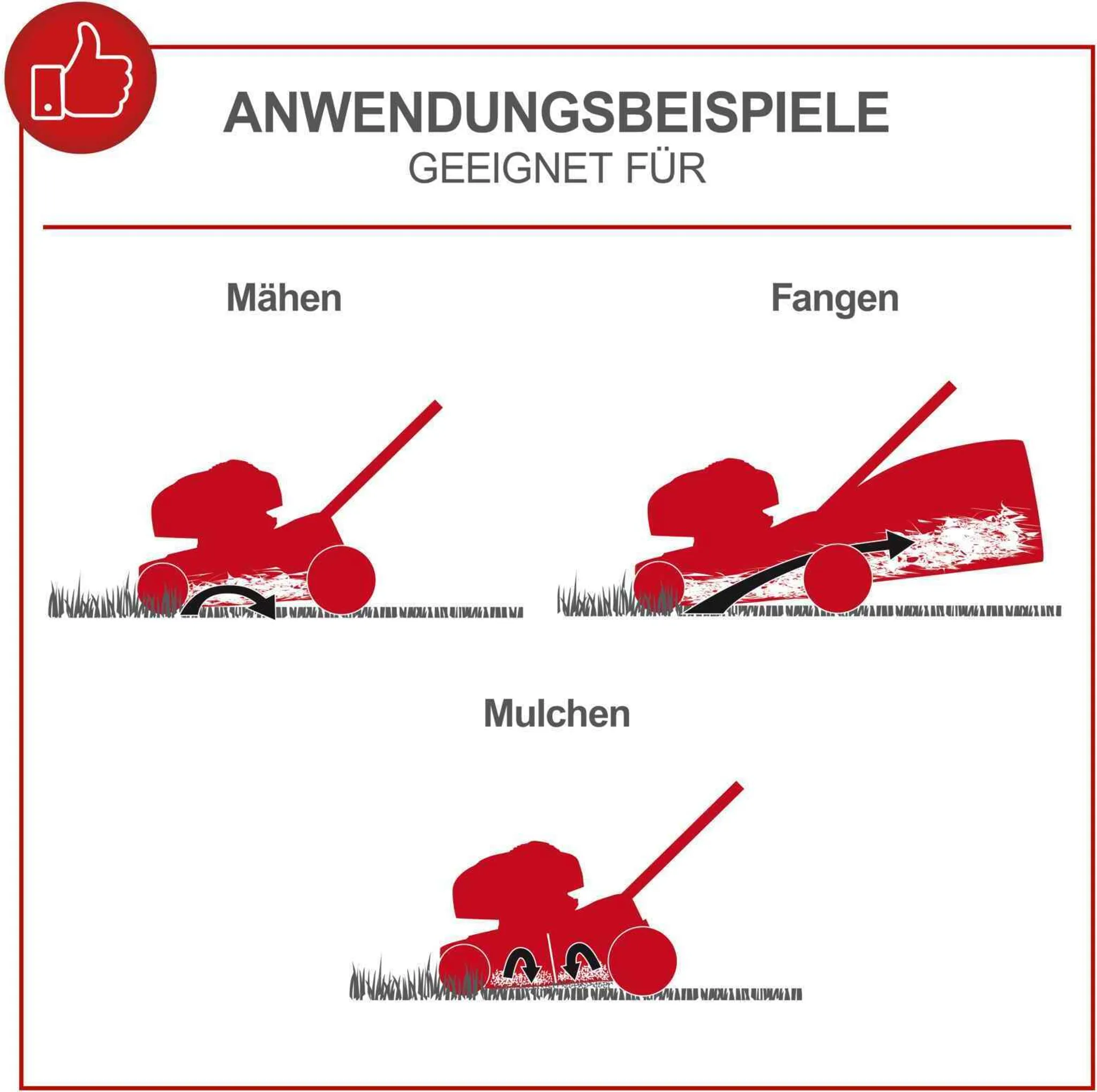 Scheppach MS225-56E Benzin Rasenmäher - E-Start | 6PS | 56cm Schnittbreite | Radantrieb | 65L Fangkorb | inkl. Motoröl + 2Ah Akku + 2,4A Ladegerät – Bild 3