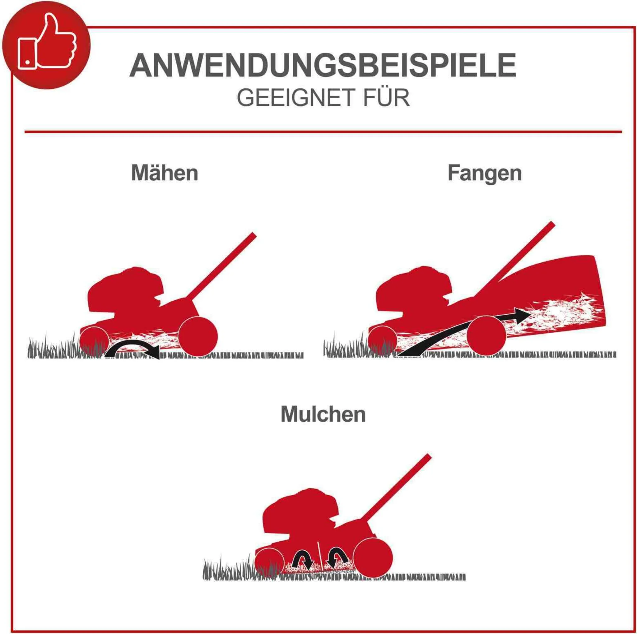 Scheppach Benzin Rasenmäher MS225-56 inkl. Motoröl | Radantrieb | 6PS | 56cm | 65L | Höhenverstellung 7 Stufen | Seitenauswurf & Reinigungsfunktion – Bild 4