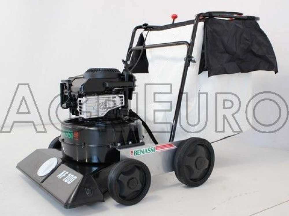 Benassi AF 100 - Laubsauger auf Räder zum Schieben - B&S 675 EXi – Bild 3