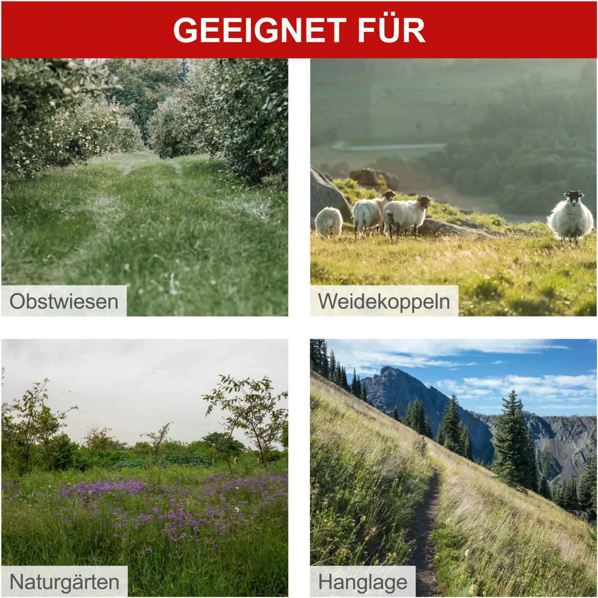 Scheppach Benzin Balkenmäher BMS196-88 | 880mm | 30-60mm | 5,7 PS / 196ccm | bis 3000m² | mit Radantrieb | Führungsholm in 3 Höhen | Hochgrasmäher – Bild 7