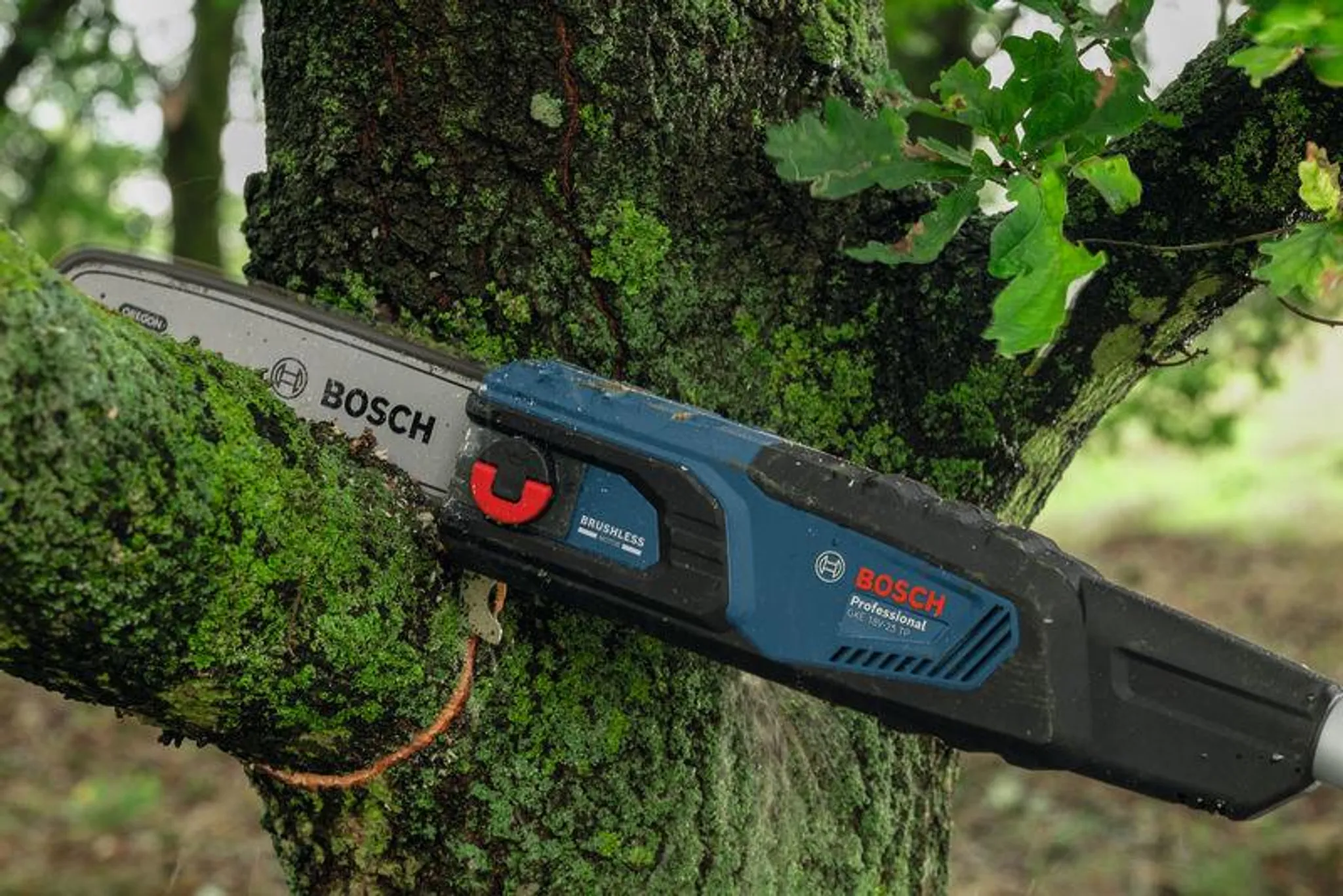 Akku-Teleskop-Hochentaster GKE 18V-25 TP – Bild 3