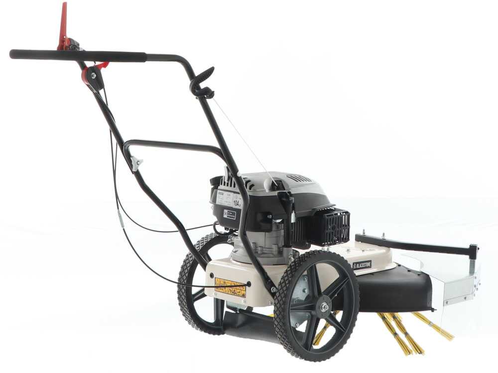Kehrmaschine-Fadenmäher zum Schieben BlackStone WYT 60-173 - Motor 173 ccm – Bild 2
