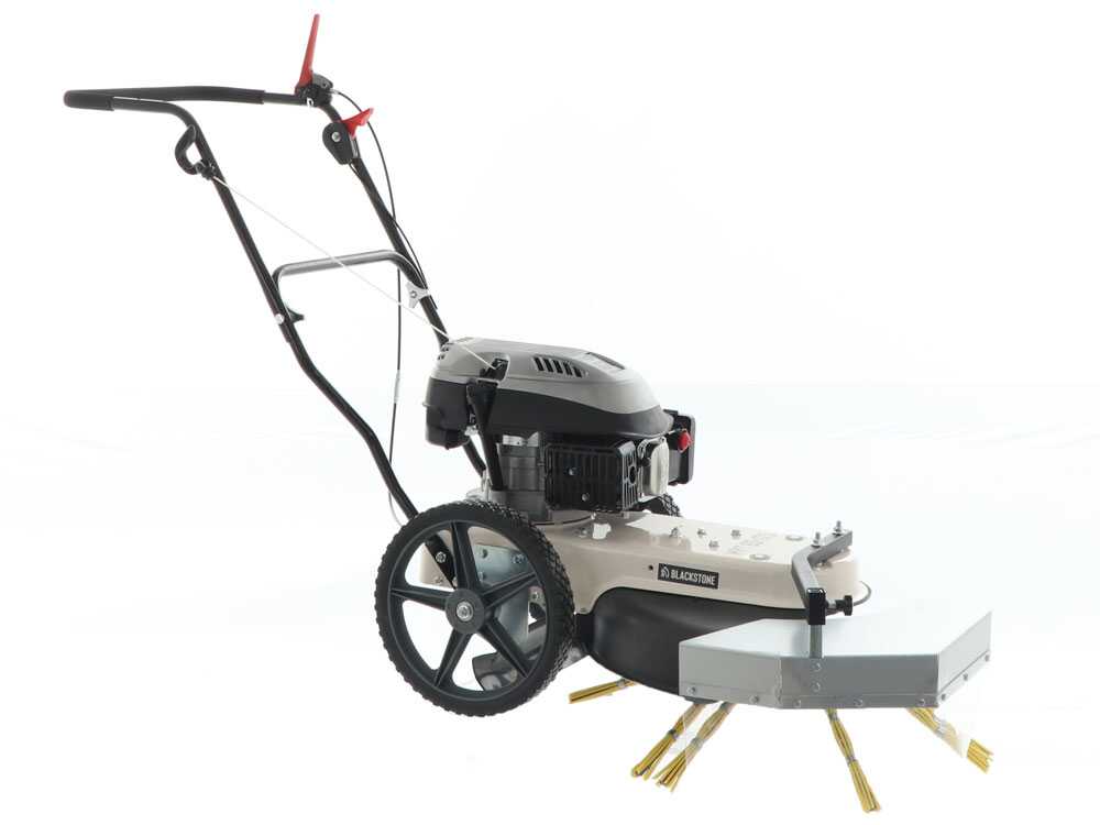 Kehrmaschine-Fadenmäher zum Schieben BlackStone WYT 60-173 - Motor 173 ccm – Bild 4