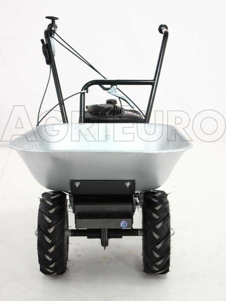 Motorschubkarre Eurosystems mit Radantrieb und B&S 450E Benzinmotor – Bild 3