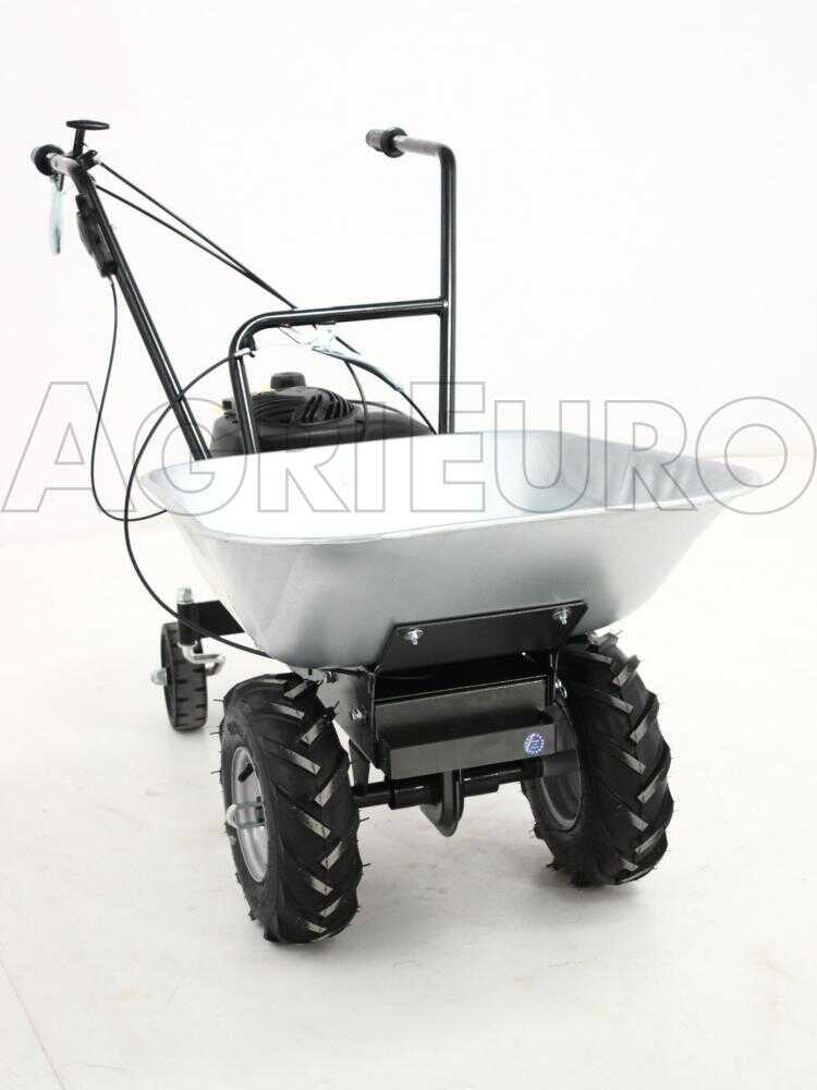 Motorschubkarre Eurosystems mit Radantrieb und B&S 450E Benzinmotor – Bild 4